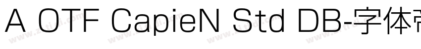 A OTF CapieN Std DB字体转换
